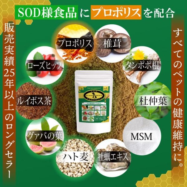 画像1: 【いつまでも若々しく元気な毎日を！】SODプロポリス ベストブレンド (1)