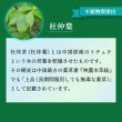 画像11: 【いつまでも若々しく元気な毎日を！】SODプロポリス ベストブレンド (11)