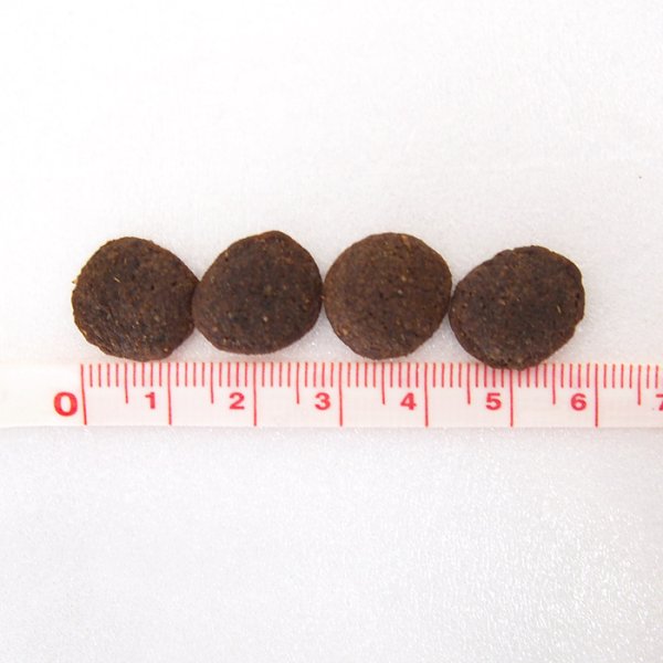 画像3: ルーシーペット ドッグフード ダック・パンプキン＆キヌア (3)