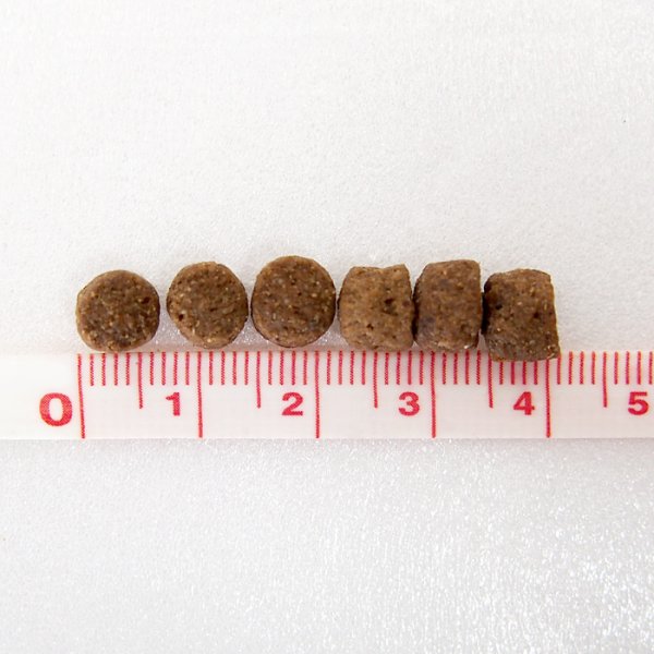 画像2: 【数量限定お試しサイズ（お一人様1回限り）】ルーシーペット ドッグフード ダック・パンプキン＆キヌア 小粒 113ｇ (2)