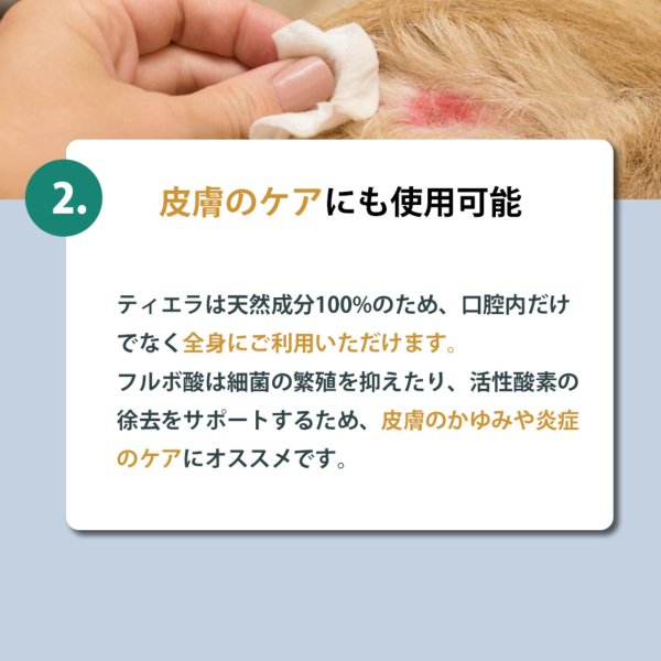 画像6: 【天然成分100% ハミガキマウスケア！全身にもOK！】TIERRA（ティエラ） 犬猫用 オーラルケア（スプレータイプ） (6)