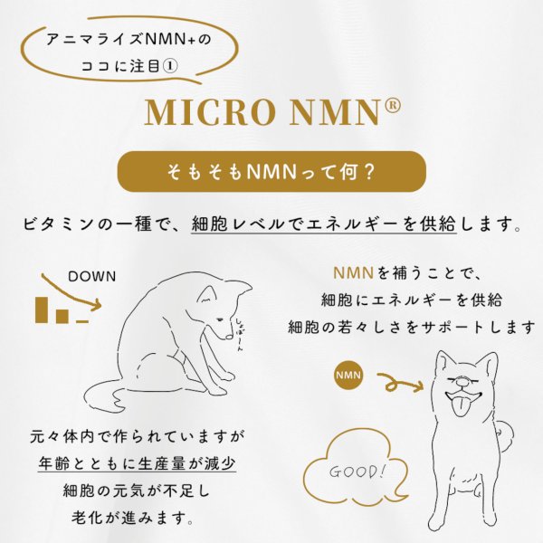 画像7: 【ずっと元気でいて欲しいから!】アニマライズ NMN×乳酸発酵ハナビラタケ (7)