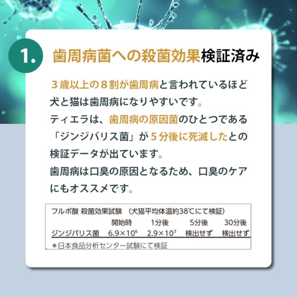 画像5: 【天然成分100% ハミガキマウスケア！全身にもOK！】TIERRA（ティエラ） 犬猫用 オーラルケア（スプレータイプ） (5)