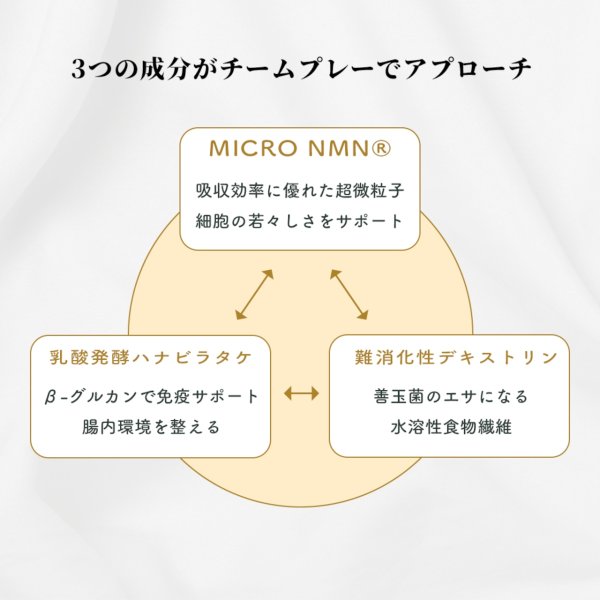 画像6: 【ずっと元気でいて欲しいから!】アニマライズ NMN×乳酸発酵ハナビラタケ (6)