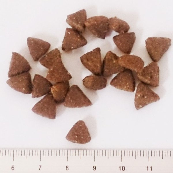 画像2: ホリスティックレセピー 猫用 シニア (2)