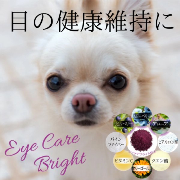 画像1: 【目の健康維持に！】 CPL アイケアブライト (1)