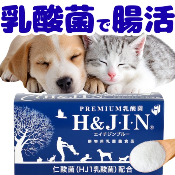 画像1: 動物用乳酸菌食品H&JIN(ジン) (1)