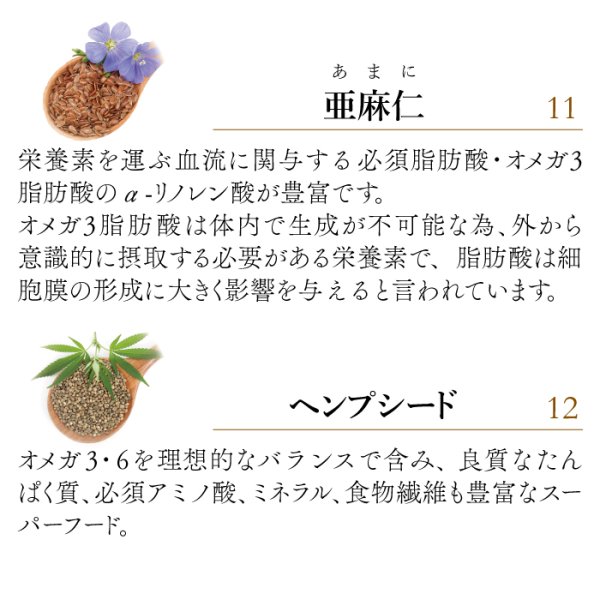 画像11: 【腫瘍や免疫機能が気になる時に！】ライフフォース（旧 CPL ジュピターハート） (11)