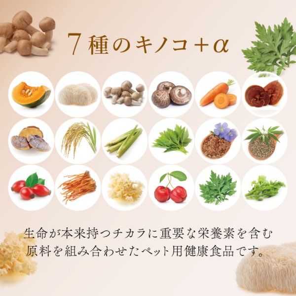 画像2: 【腫瘍や免疫機能が気になる時に！】ライフフォース（旧 CPL ジュピターハート） (2)