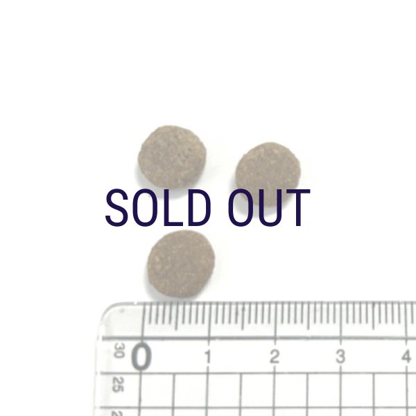 画像2: アニモンダ カーニードライ 避妊・去勢済猫向け 鶏・七面鳥 (2)