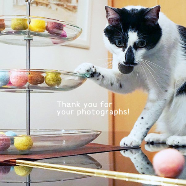 画像2: コロコロボール (2)