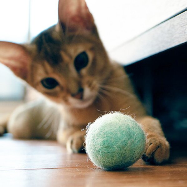 画像5: コロコロボール (5)