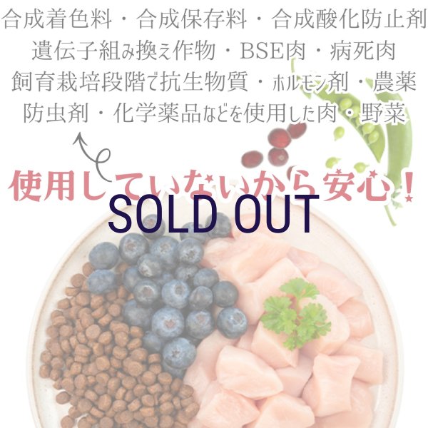 画像6: 【次回3月中旬〜下旬入荷予定※入荷遅延中】ザナベレ シニア チキン＆ブルーベリー (6)