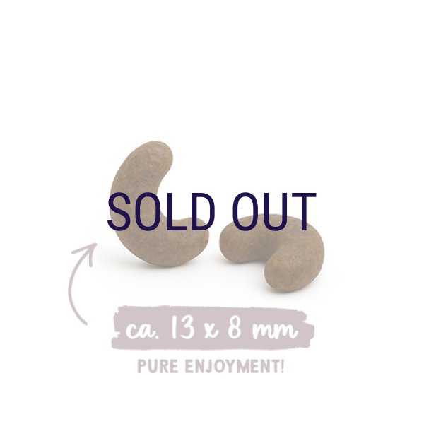 画像2: 【次回3月中旬〜下旬入荷予定※入荷遅延中】ザナベレ ウリナリー (2)