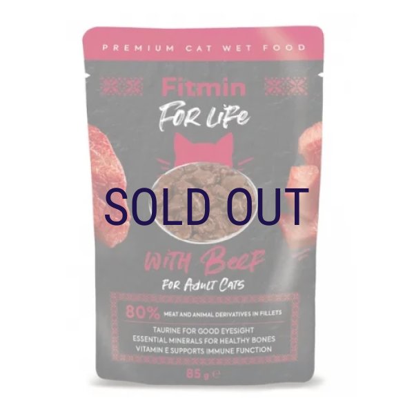 画像1: フィットミン フォーライフ ビーフ 85ｇ (1)