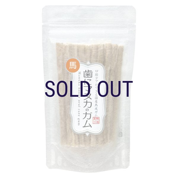 画像1: 歯にマヌカのガム 馬皮 20本入り (1)