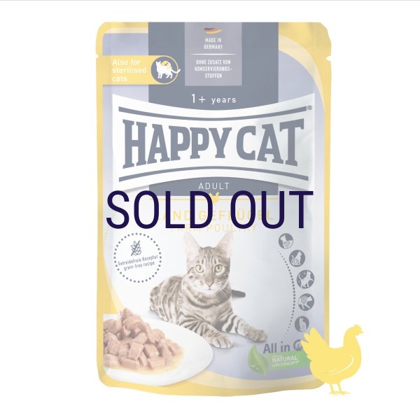 画像1: ハッピーキャット ファーム 平飼いチキン パウチ 85ｇ (1)