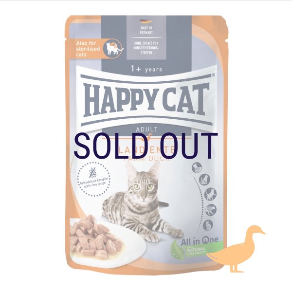 画像1: ハッピーキャット ファーム 平飼いの鴨 パウチ 85ｇ (1)