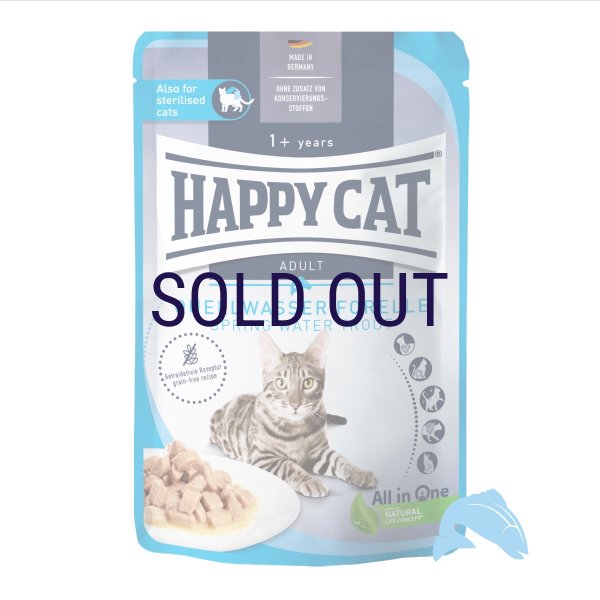 画像1: ハッピーキャット ファーム スプリングトラウト パウチ 85ｇ (1)