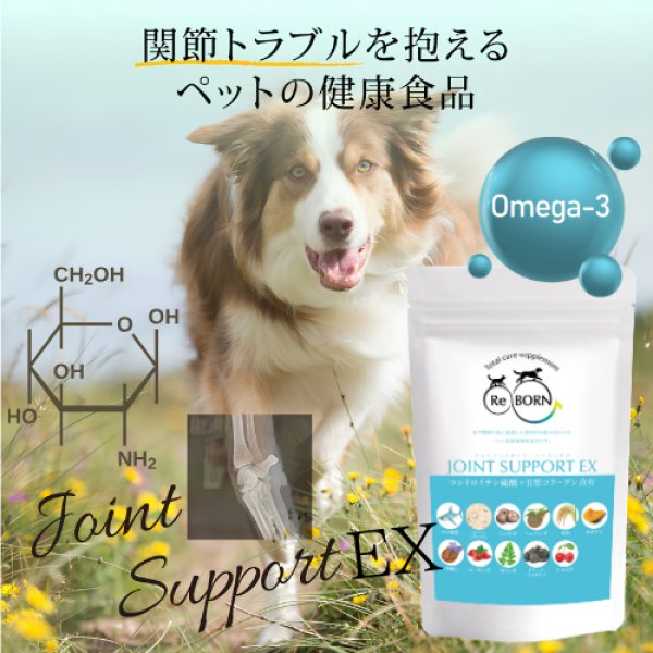 画像2: 【足腰が気になりだしたら！】ジョイントサポート (2)
