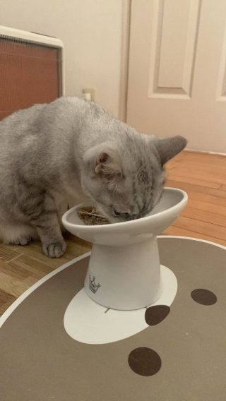 レビュー5152-投稿画像1