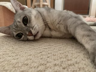 レビュー5154-投稿画像1