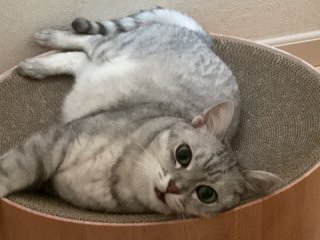 レビュー5164-投稿画像1