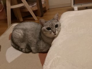 レビュー5165-投稿画像1