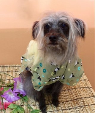 レビュー5062-投稿画像1