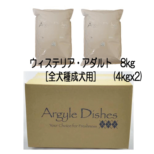 アーガイルディッシュ グレヴィレア・アダルトの正規品通販：無