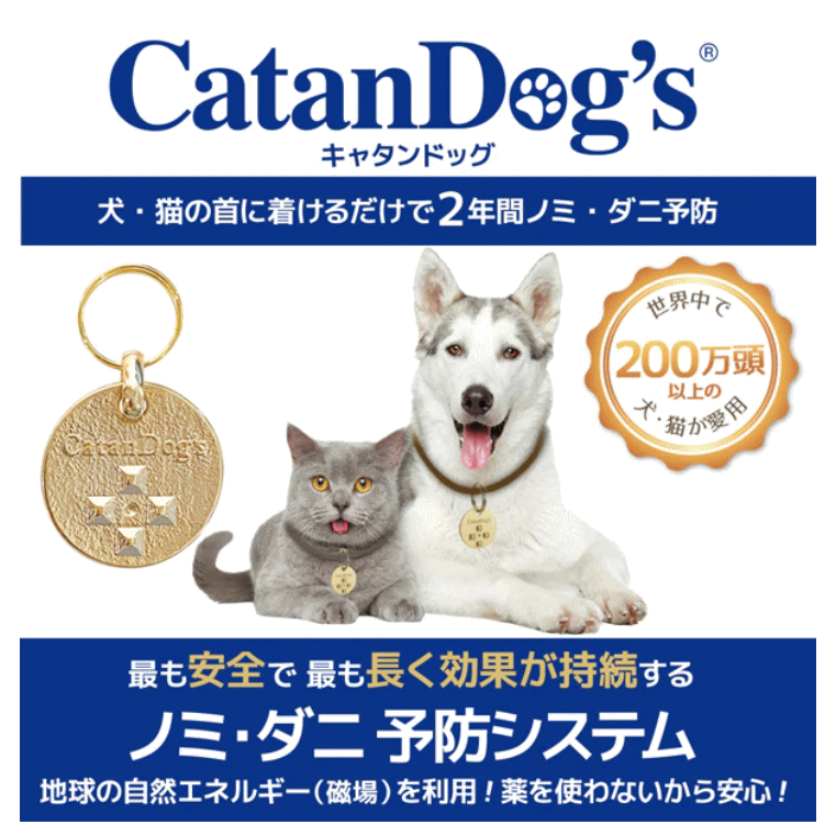 首にぶら下げるだけ ノミ ダニ予防が2年間有効 キャタンドッグ カタンドッグ の通販 キャタンドッグ カタンドッグ の激安通販ならブロス
